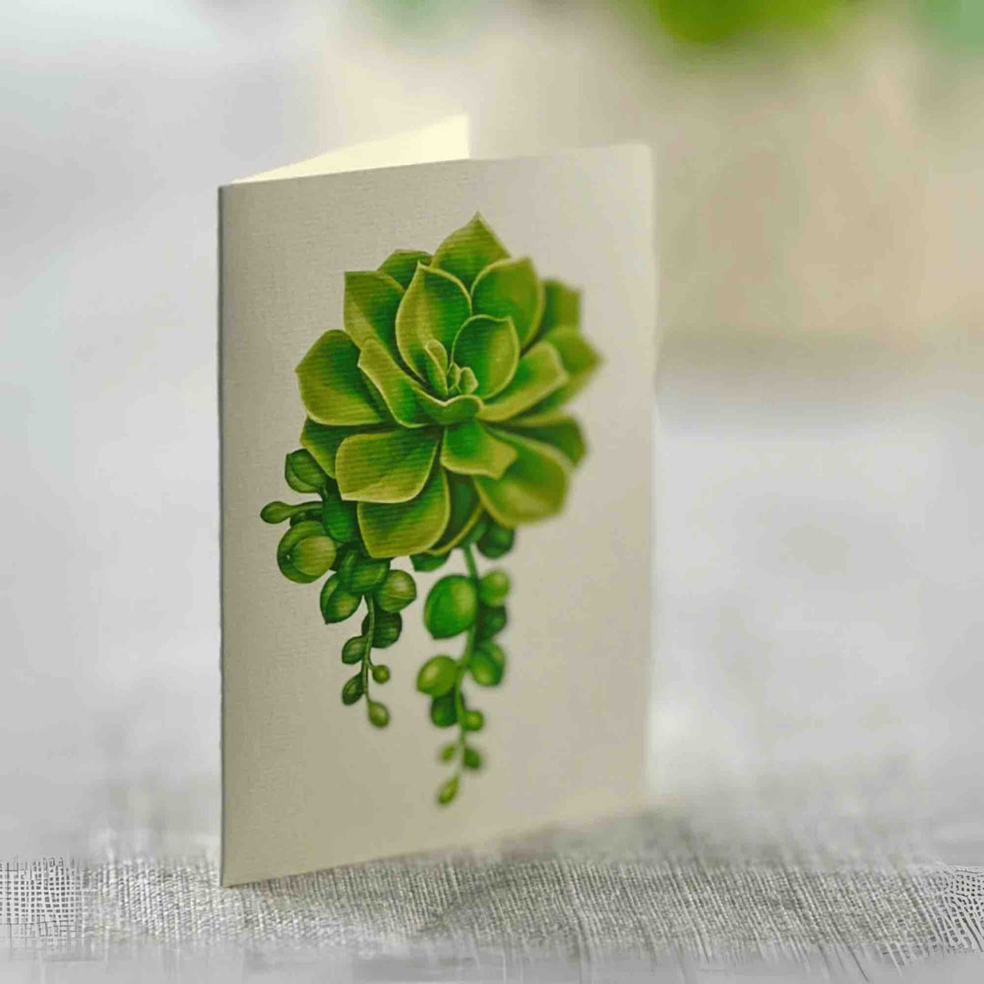 Pop-Up Cards by FreshCut