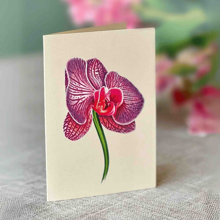 Pop-Up Cards by FreshCut