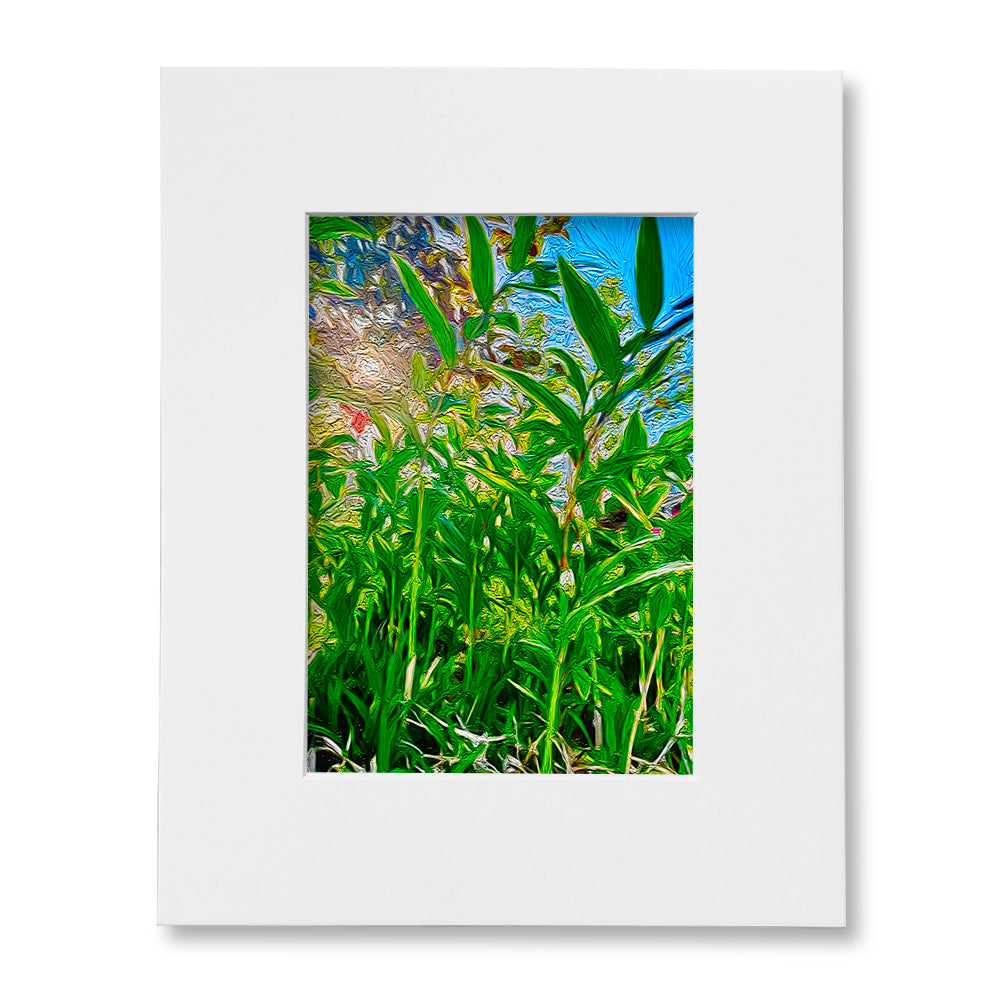 The "I Love Eureka" Photography Print Series - Spring Morning, Matted